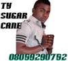 Ty Sugar Cane3